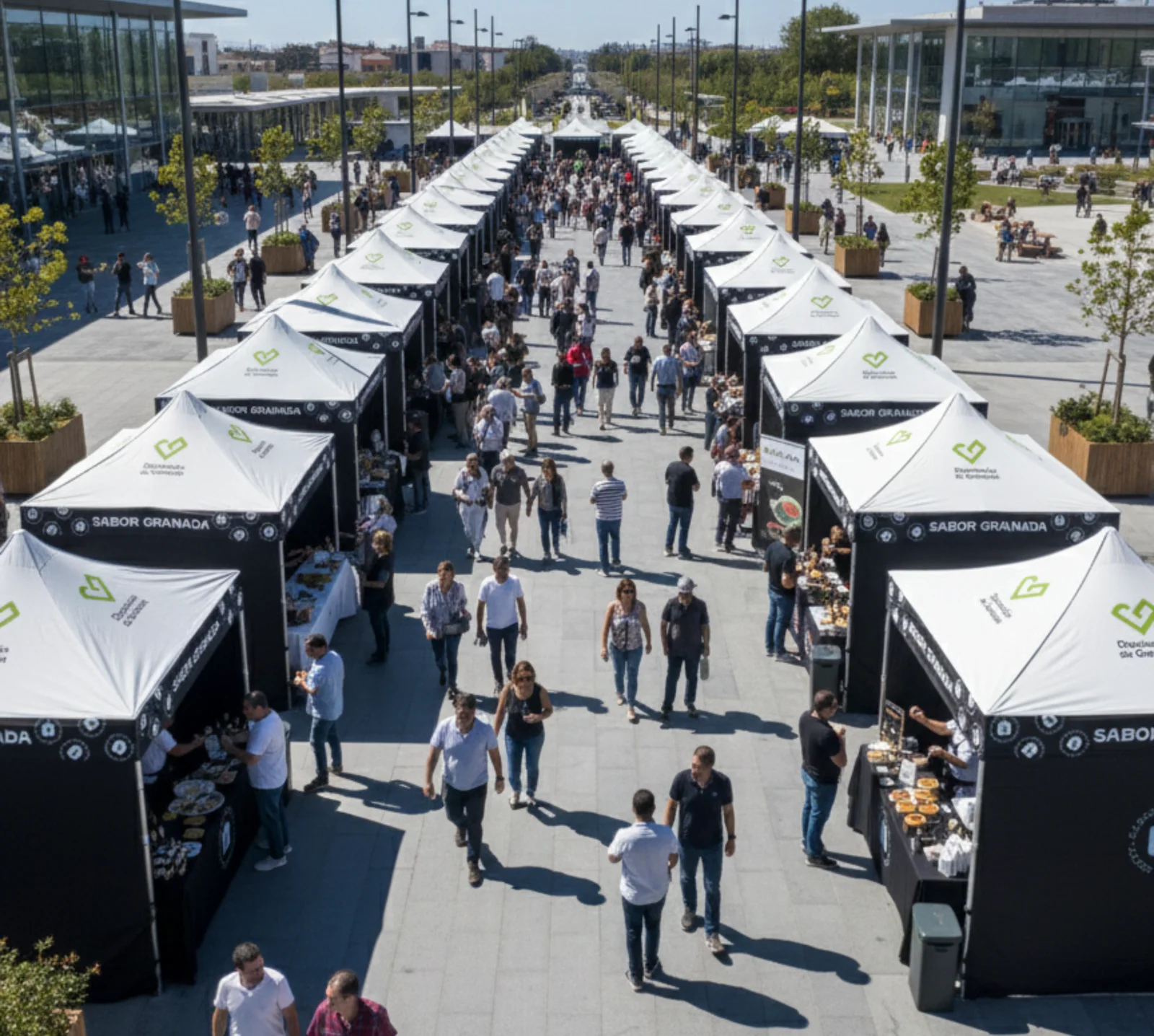 Diputación de Granada - 100 carpas 3x3 modelo medio