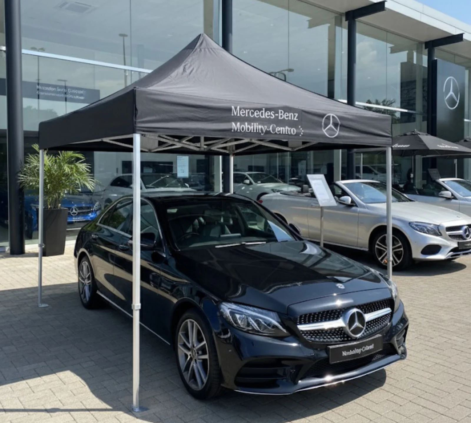 Carpa 3x3m modelo superior Mercedes Benz